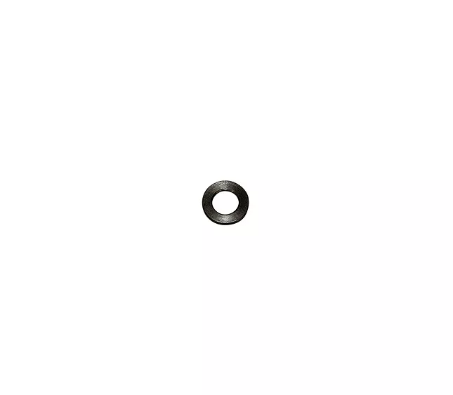 204017 - FAEMA Washer S/S R2(L6-S1)