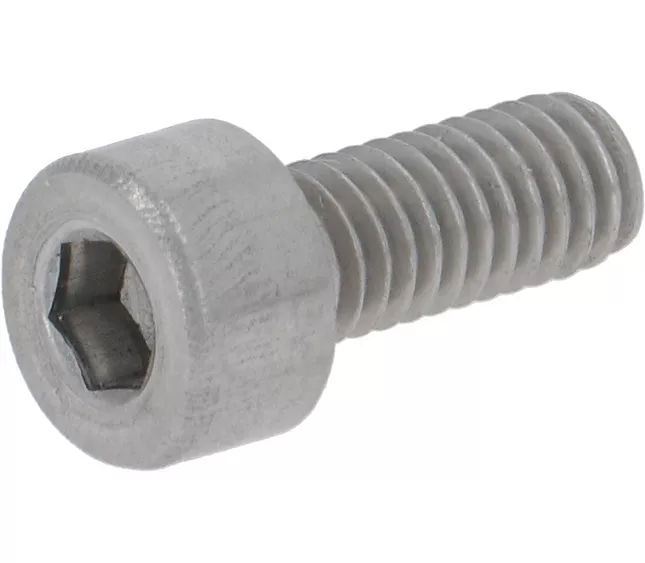 4001051934 FAEMA SCREW M 4 X 10 R2(L6-S3)