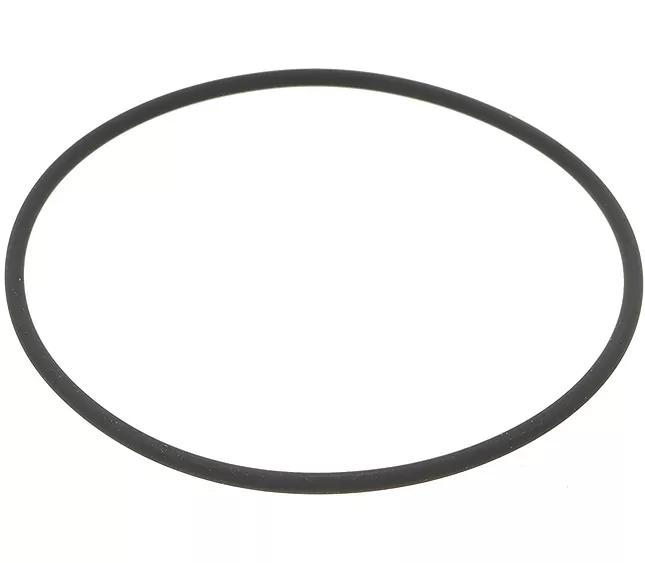401224000 - 5501389 - FAEMA BOILER GASKET R2(L6-S2)