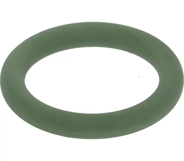 402207000  - FAEMA GASKET 18.64X3.53 R2(L6-S2)