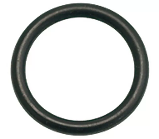 402257000 - Faema  O-Ring Gasket 17.13 x 2.62 R2(L6-S2)