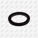 402320000F - 1186958 - Faema 21x15x2 NSF Seal R2(L6-S2)