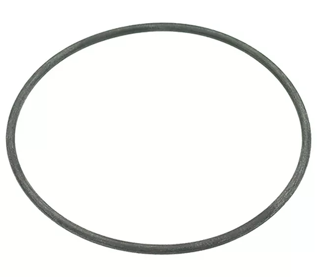 46000 - 50090 - 1186625 O-Ring, FKM, 70 A SLAYER R2 (L3 - S1)