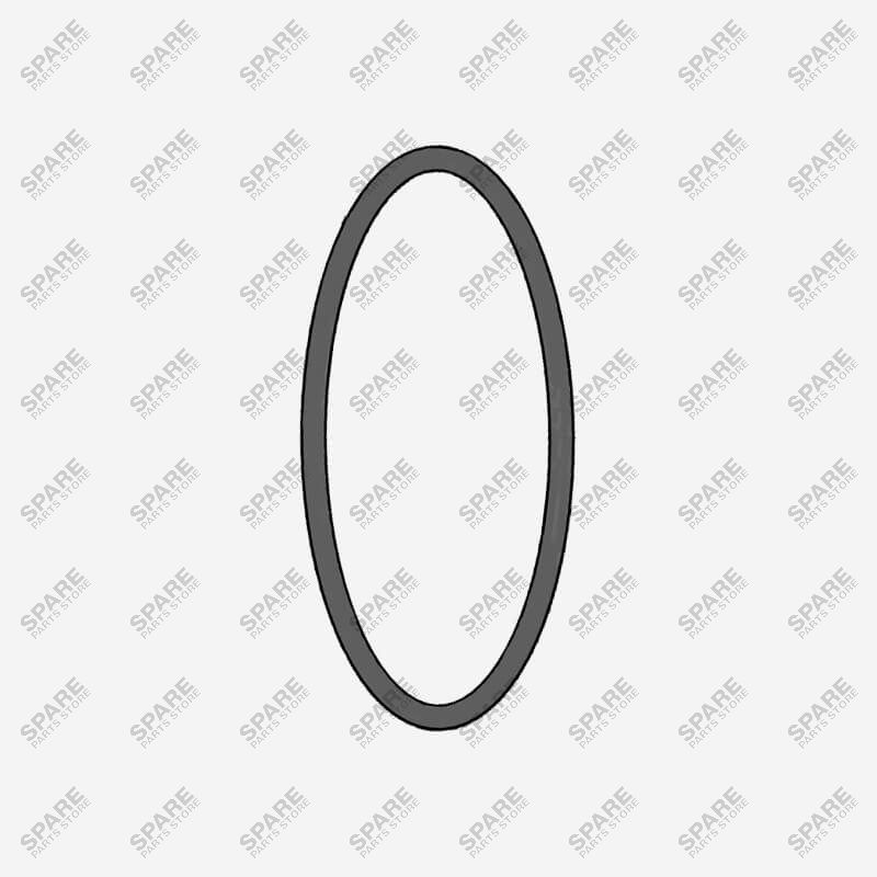 46004 - 10002 - O-Ring, PTFE, Single Group S 1 GR