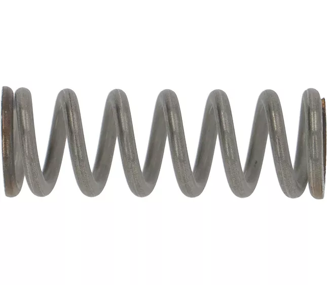 4731135884  - FAEMA VALVE SPRING R2(L6-S3)