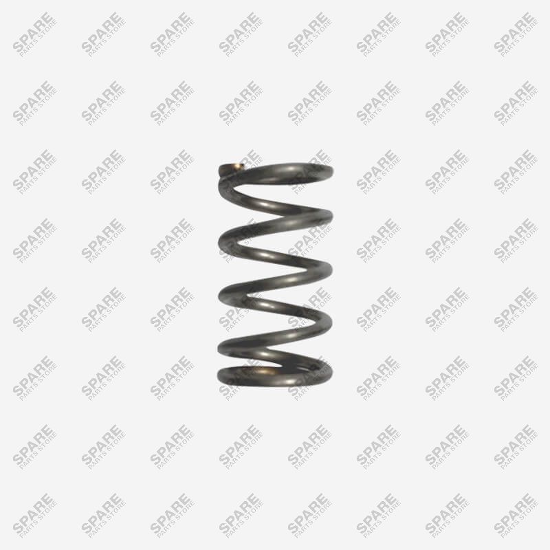 990109000 - FAEMA COMPRESSION SPRING R2(L6-S3)