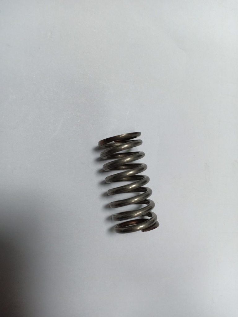 990111000 - FAEMA  COMPRESSION SPRING R2(L6-S4)