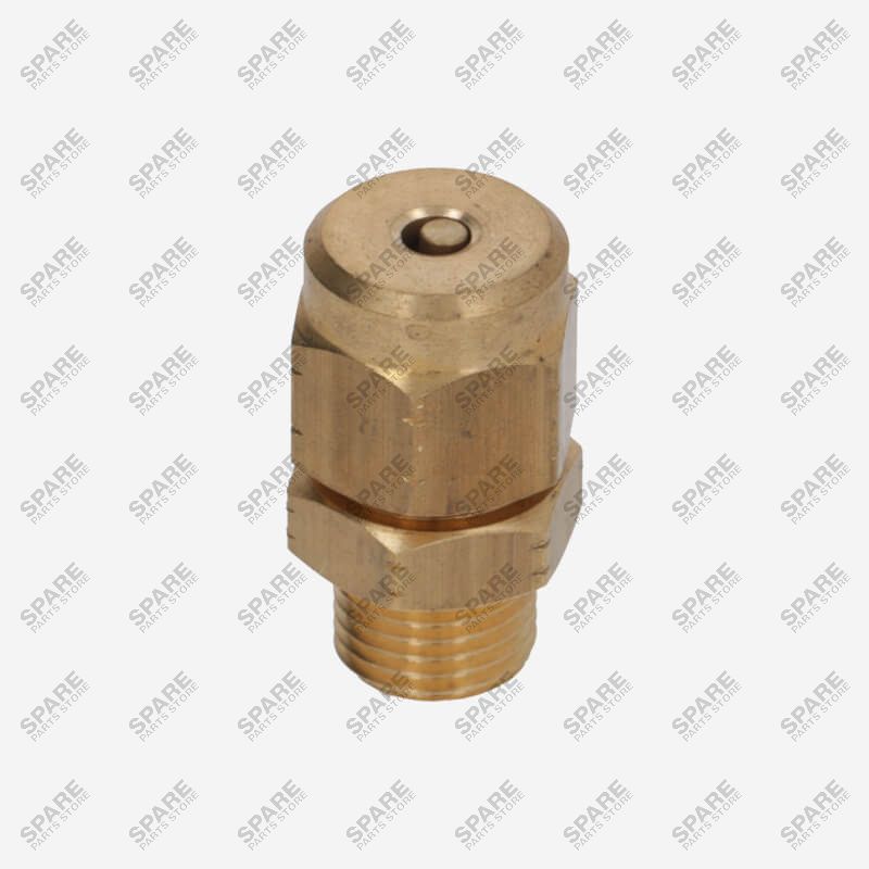 C219900561 ANTI VACCUM VALVE  G 1/4 M