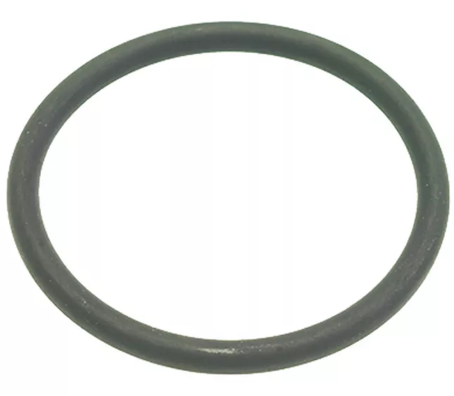 01917035 Elektra Filter Holder Gasket - L5S2