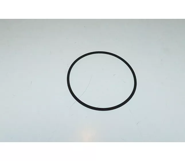 36211316-01 Bianchi Vending O-Ring 66,35x2,62 FKM L3S2