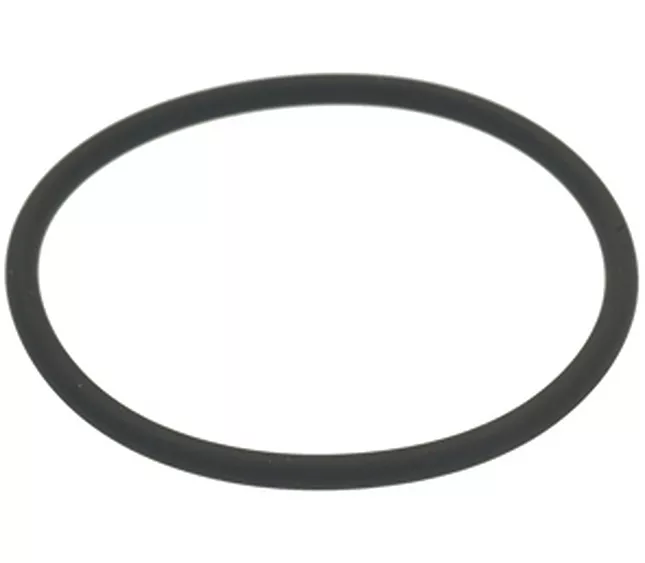 1186715 - 2418 SPAZIALE O-Ring 0159 FKM L5S1