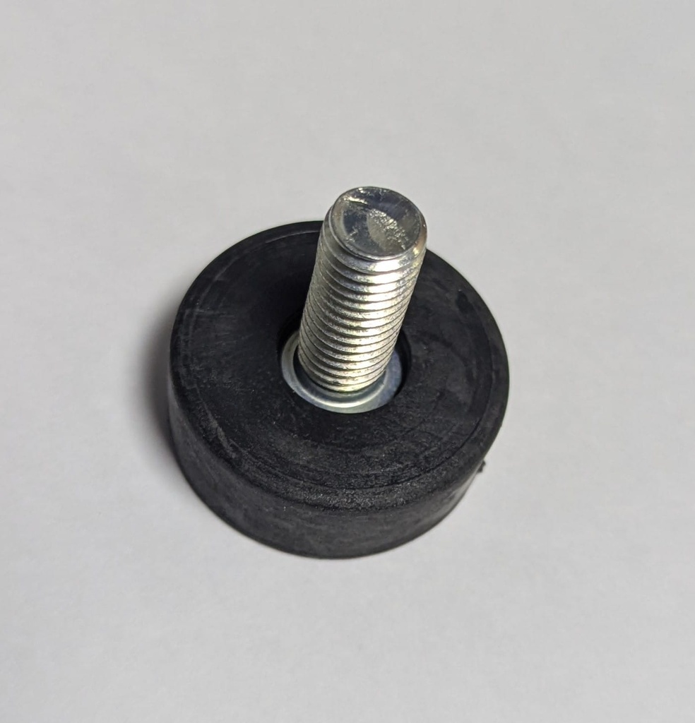 713162000 -  41530028 -FAEMINA FOOT R2(L6-S3)