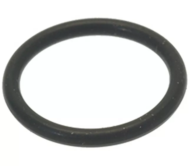 1186712 - 8289 - LA SPAZIALE ORM GASKET 0160 - 20 EPDM L5-S1