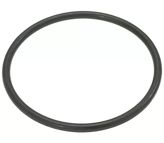 1186198-P1012.4 PROFITEC O-RING 0161 EPDM R2(L14-S2)