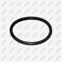 [SPF532] 402312000 - FAEMA OR42.86X3.53 SILICON R2(L6-S2)