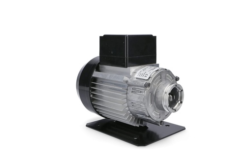 [SPMARZ124] E.7.002- LA MARZOCCO MOTOR 220V FOR PUMP 70L/H